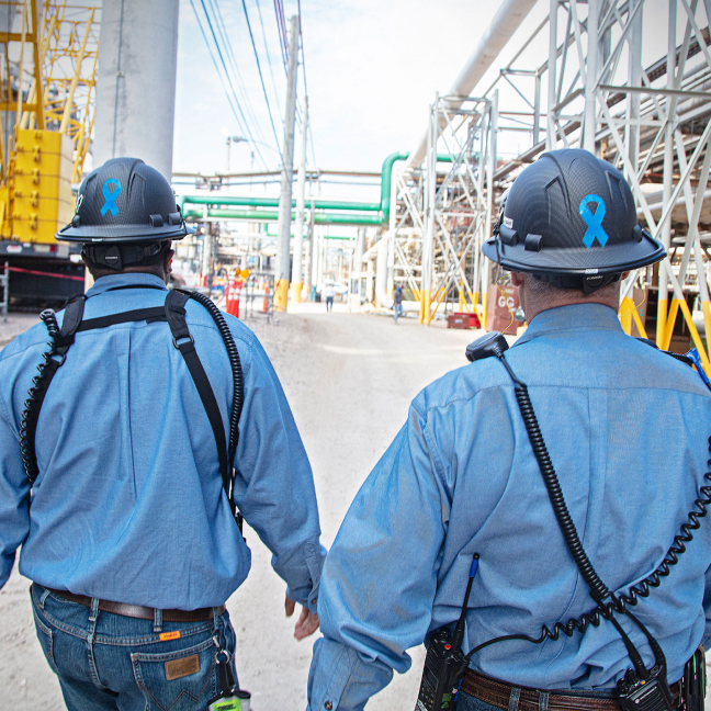 Your Partner for Safety Oversight